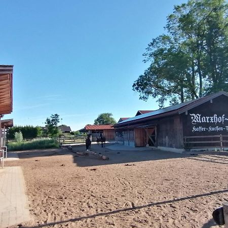 Tiny X Im Marxhof Seebruck Am Chiemsee Seeon-Seebruck Eksteriør bilde