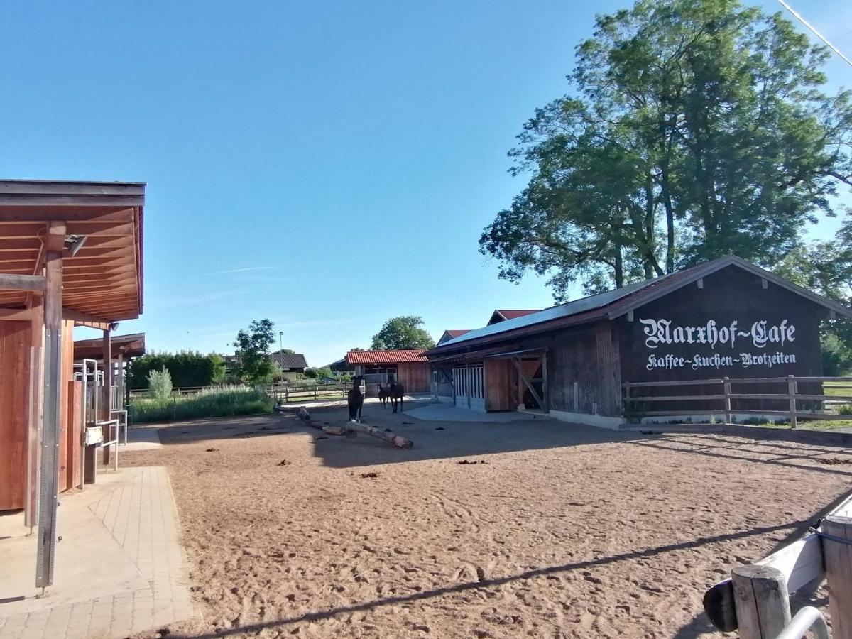 Tiny X Im Marxhof Seebruck Am Chiemsee Seeon-Seebruck Eksteriør bilde