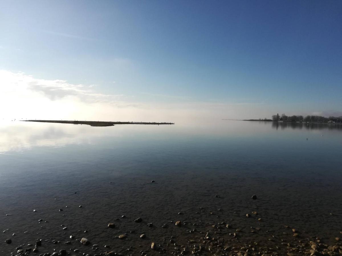 Tiny X Im Marxhof Seebruck Am Chiemsee Seeon-Seebruck Eksteriør bilde
